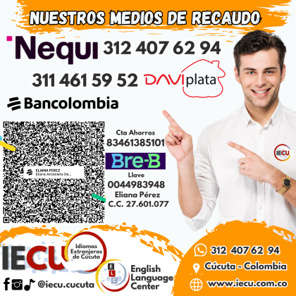 2026 Medios Recaudo
